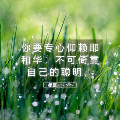 Picture 05 - 箴 言 3:5 CUVS - 你 要 专 心 仰 赖 耶 和 华 ， 不 可 - Bible Verse Picture