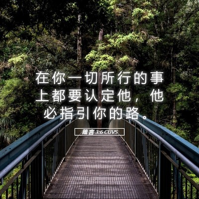 Picture 05 - 箴 言 3:6 CUVS - 在 你 一 切 所 行 的 事 上 都 要 认 - Bible Verse Picture