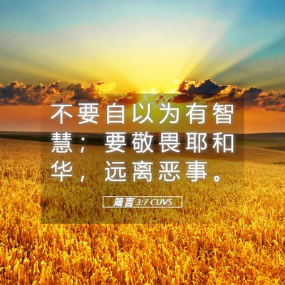 Picture 05 - 箴 言 3:7 CUVS - 不 要 自 以 为 有 智 慧 ； 要 敬 畏 - Bible Verse Picture