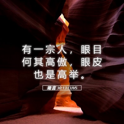 Picture 05 - 箴 言 30:13 CUVS - 有 一 宗 人 ， 眼 目 何 其 高 傲 ， - Bible Verse Picture