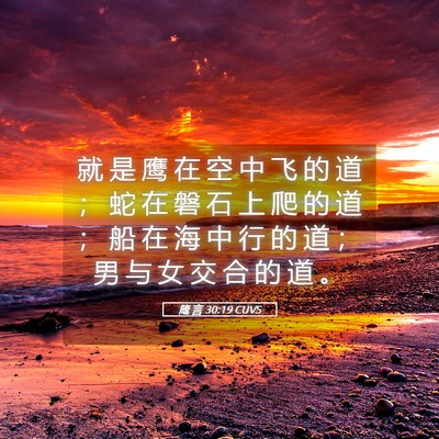Picture 05 - 箴 言 30:19 CUVS - 就 是 鹰 在 空 中 飞 的 道 ； 蛇 在 - Bible Verse Picture