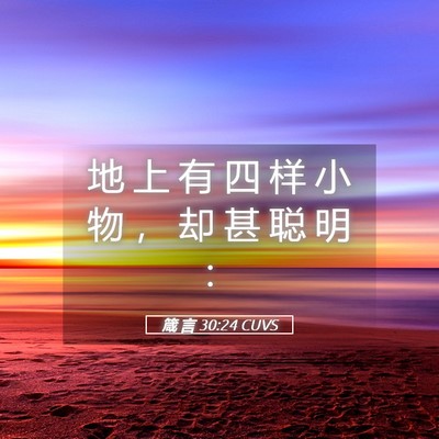 Picture 05 - 箴 言 30:24 CUVS - 地 上 有 四 样 小 物 ， 却 甚 聪 明 - Bible Verse Picture