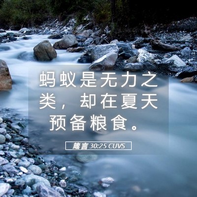 Picture 05 - 箴 言 30:25 CUVS - 蚂 蚁 是 无 力 之 类 ， 却 在 夏 天 - Bible Verse Picture