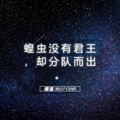 Picture 05 - 箴 言 30:27 CUVS - 蝗 虫 没 有 君 王 ， 却 分 队 而 出 - Bible Verse Picture