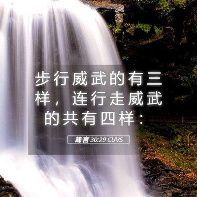 Picture 05 - 箴 言 30:29 CUVS - 步 行 威 武 的 有 三 样 ， 连 行 走 - Bible Verse Picture