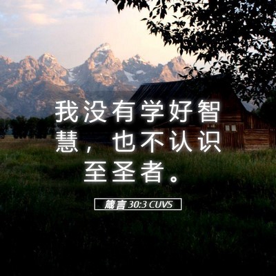 Picture 05 - 箴 言 30:3 CUVS - 我 没 有 学 好 智 慧 ， 也 不 认 识 - Bible Verse Picture