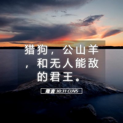 Picture 05 - 箴 言 30:31 CUVS - 猎 狗 ， 公 山 羊 ， 和 无 人 能 敌 - Bible Verse Picture
