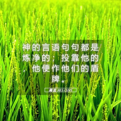 Picture 05 - 箴 言 30:5 CUVS - 神 的 言 语 句 句 都 是 炼 净 的 ； - Bible Verse Picture