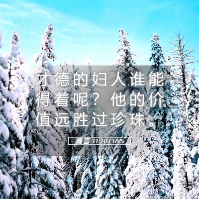 Picture 05 - 箴 言 31:10 CUVS - 才 德 的 妇 人 谁 能 得 着 呢 ？ 他 - Bible Verse Picture