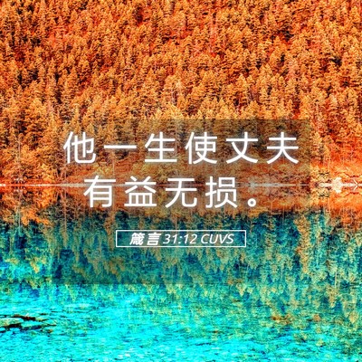 Picture 05 - 箴 言 31:12 CUVS - 他 一 生 使 丈 夫 有 益 无 损 - Bible Verse Picture