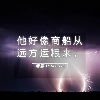 Picture 05 - 箴 言 31:14 CUVS - 他 好 像 商 船 从 远 方 运 粮 来 - Bible Verse Picture