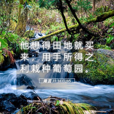 Picture 05 - 箴 言 31:16 CUVS - 他 想 得 田 地 就 买 来 ； 用 手 所 - Bible Verse Picture