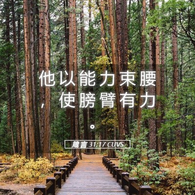 Picture 05 - 箴 言 31:17 CUVS - 他 以 能 力 束 腰 ， 使 膀 臂 有 力 - Bible Verse Picture