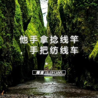 Picture 05 - 箴 言 31:19 CUVS - 他 手 拿 捻 线 竿 ， 手 把 纺 线 车 - Bible Verse Picture