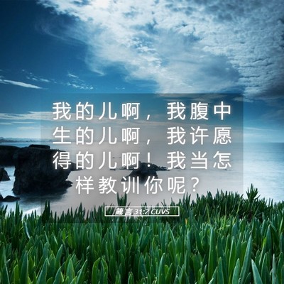 Picture 05 - 箴 言 31:2 CUVS - 我 的 儿 啊 ， 我 腹 中 生 的 儿 啊 - Bible Verse Picture