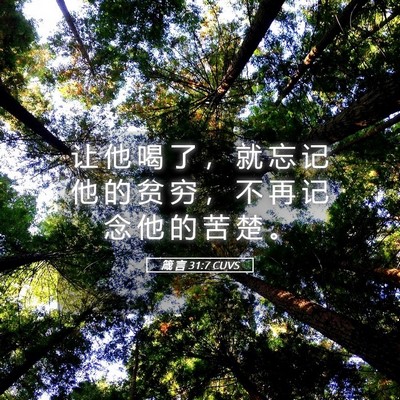Picture 05 - 箴 言 31:7 CUVS - 让 他 喝 了 ， 就 忘 记 他 的 贫 穷 - Bible Verse Picture