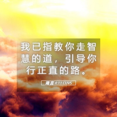 Picture 05 - 箴 言 4:11 CUVS - 我 已 指 教 你 走 智 慧 的 道 ， 引 - Bible Verse Picture