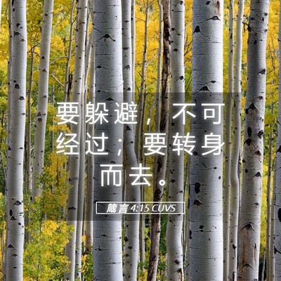 Picture 05 - 箴 言 4:15 CUVS - 要 躲 避 ， 不 可 经 过 ； 要 转 身 - Bible Verse Picture