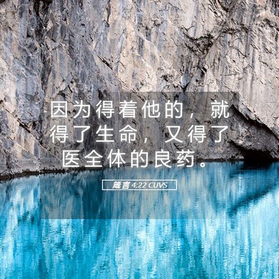Picture 05 - 箴 言 4:22 CUVS - 因 为 得 着 他 的 ， 就 得 了 生 命 - Bible Verse Picture