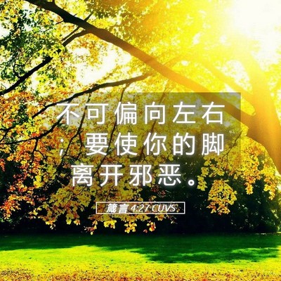 Picture 05 - 箴 言 4:27 CUVS - 不 可 偏 向 左 右 ； 要 使 你 的 脚 - Bible Verse Picture