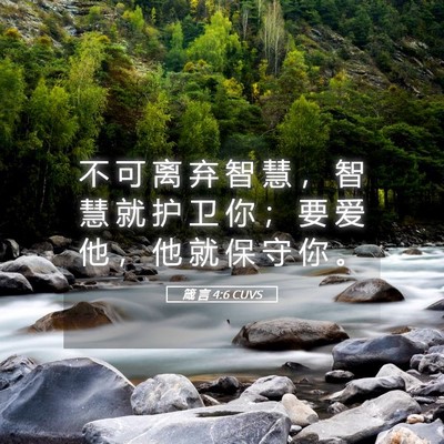 Picture 05 - 箴 言 4:6 CUVS - 不 可 离 弃 智 慧 ， 智 慧 就 护 卫 - Bible Verse Picture
