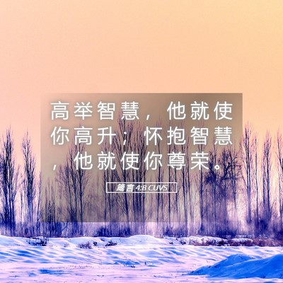Picture 05 - 箴 言 4:8 CUVS - 高 举 智 慧 ， 他 就 使 你 高 升 ； - Bible Verse Picture