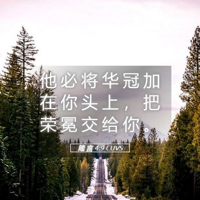 Picture 05 - 箴 言 4:9 CUVS - 他 必 将 华 冠 加 在 你 头 上 ， 把 - Bible Verse Picture