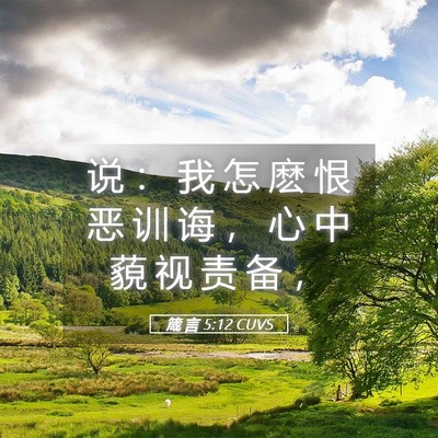 Picture 05 - 箴 言 5:12 CUVS - 说 ： 我 怎 麽 恨 恶 训 诲 ， 心 中 - Bible Verse Picture