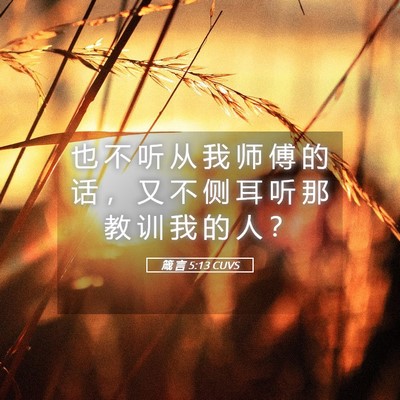 Picture 05 - 箴 言 5:13 CUVS - 也 不 听 从 我 师 傅 的 话 ， 又 不 - Bible Verse Picture