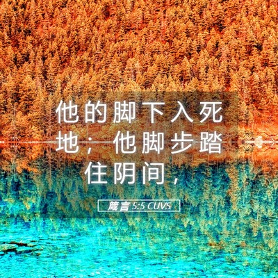 Picture 05 - 箴 言 5:5 CUVS - 他 的 脚 下 入 死 地 ； 他 脚 步 踏 - Bible Verse Picture