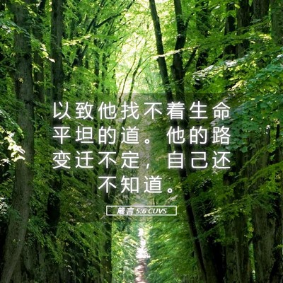 Picture 05 - 箴 言 5:6 CUVS - 以 致 他 找 不 着 生 命 平 坦 的 道 - Bible Verse Picture