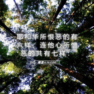 Picture 05 - 箴 言 6:16 CUVS - 耶 和 华 所 恨 恶 的 有 六 样 ， 连 - Bible Verse Picture