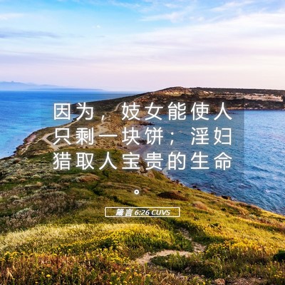 Picture 05 - 箴 言 6:26 CUVS - 因 为 ， 妓 女 能 使 人 只 剩 一 块 - Bible Verse Picture