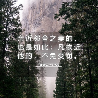 Picture 05 - 箴 言 6:29 CUVS - 亲 近 邻 舍 之 妻 的 ， 也 是 如 此 - Bible Verse Picture