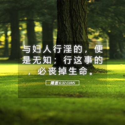 Picture 05 - 箴 言 6:32 CUVS - 与 妇 人 行 淫 的 ， 便 是 无 知 ； - Bible Verse Picture