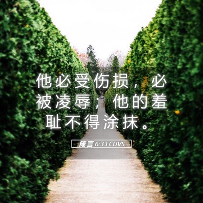 Picture 05 - 箴 言 6:33 CUVS - 他 必 受 伤 损 ， 必 被 凌 辱 ； 他 - Bible Verse Picture