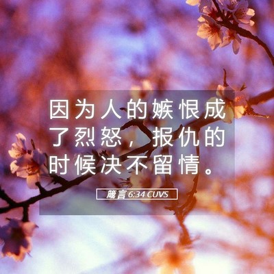 Picture 05 - 箴 言 6:34 CUVS - 因 为 人 的 嫉 恨 成 了 烈 怒 ， 报 - Bible Verse Picture