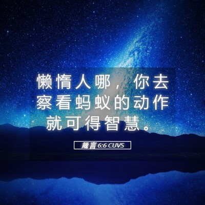Picture 05 - 箴 言 6:6 CUVS - 懒 惰 人 哪 ， 你 去 察 看 蚂 蚁 的 - Bible Verse Picture