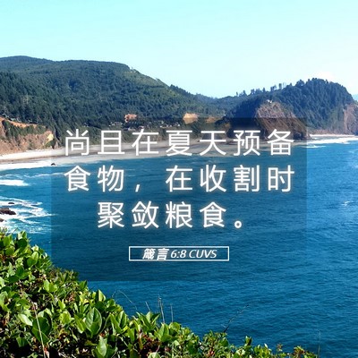 Picture 05 - 箴 言 6:8 CUVS - 尚 且 在 夏 天 预 备 食 物 ， 在 收 - Bible Verse Picture