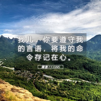 Picture 05 - 箴 言 7:1 CUVS - 我 儿 ， 你 要 遵 守 我 的 言 语 ， - Bible Verse Picture