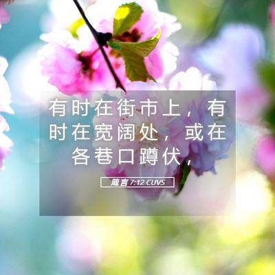 Picture 05 - 箴 言 7:12 CUVS - 有 时 在 街 市 上 ， 有 时 在 宽 阔 - Bible Verse Picture