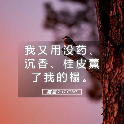 Picture 05 - 箴 言 7:17 CUVS - 我 又 用 没 药 、 沉 香 、 桂 皮 薰 - Bible Verse Picture
