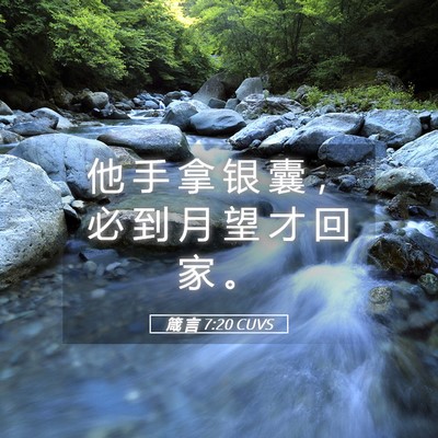 Picture 05 - 箴 言 7:20 CUVS - 他 手 拿 银 囊 ， 必 到 月 望 才 回 - Bible Verse Picture