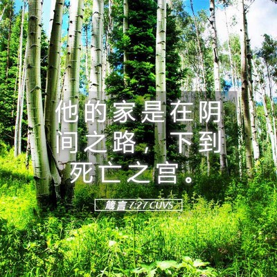 Picture 05 - 箴 言 7:27 CUVS - 他 的 家 是 在 阴 间 之 路 ， 下 到 - Bible Verse Picture