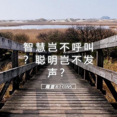 Picture 05 - 箴 言 8:1 CUVS - 智 慧 岂 不 呼 叫 ？ 聪 明 岂 不 发 - Bible Verse Picture