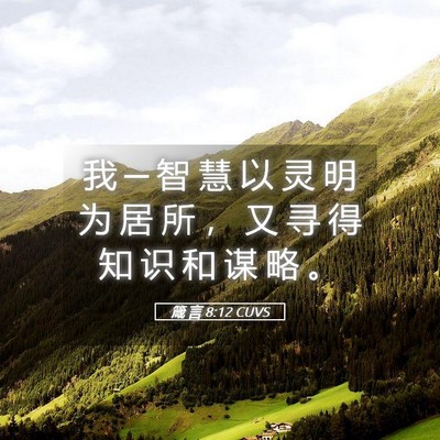 Picture 05 - 箴 言 8:12 CUVS - 我 ─ 智 慧 以 灵 明 为 居 所 ， 又 - Bible Verse Picture