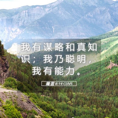 Picture 05 - 箴 言 8:14 CUVS - 我 有 谋 略 和 真 知 识 ； 我 乃 聪 - Bible Verse Picture