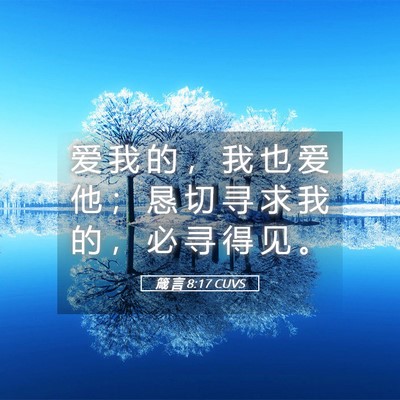 Picture 05 - 箴 言 8:17 CUVS - 爱 我 的 ， 我 也 爱 他 ； 恳 切 寻 - Bible Verse Picture