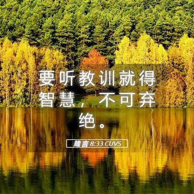 Picture 05 - 箴 言 8:33 CUVS - 要 听 教 训 就 得 智 慧 ， 不 可 弃 - Bible Verse Picture