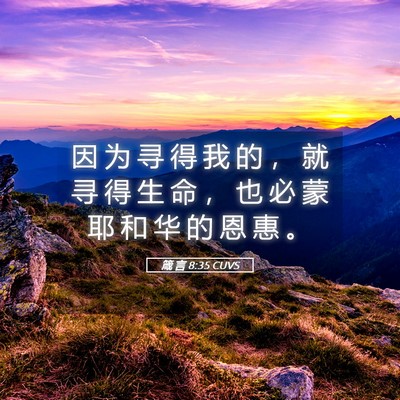 Picture 05 - 箴 言 8:35 CUVS - 因 为 寻 得 我 的 ， 就 寻 得 生 命 - Bible Verse Picture